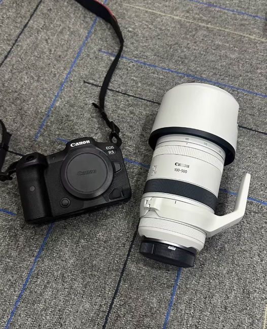 出租佳能R5/R62/ R50/R10相机 另有镜头出租 免